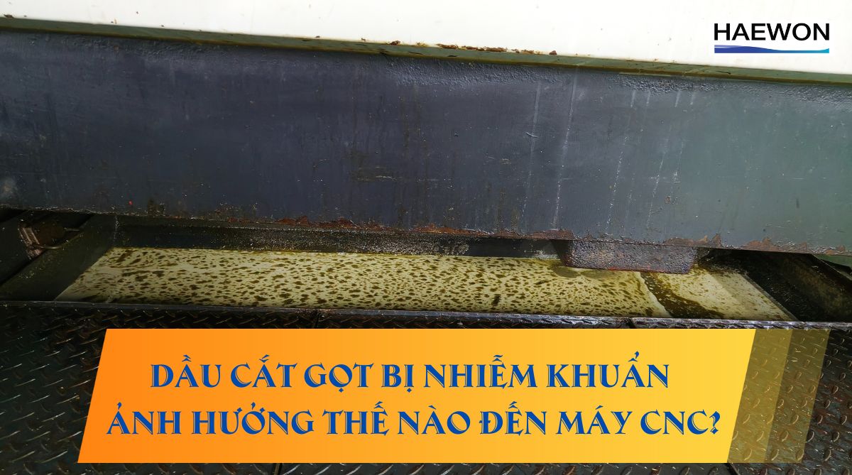 Dầu cắt gọt bị nhiễm khuẩn ảnh hưởng thế nào đến máy CNC?